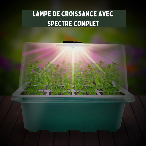 Boîte de plateau de démarrage de graines avec 3 LED élèvent la lumière Pot  de pépinière semis Germination planteur Ventilation humidité 12 cellules
